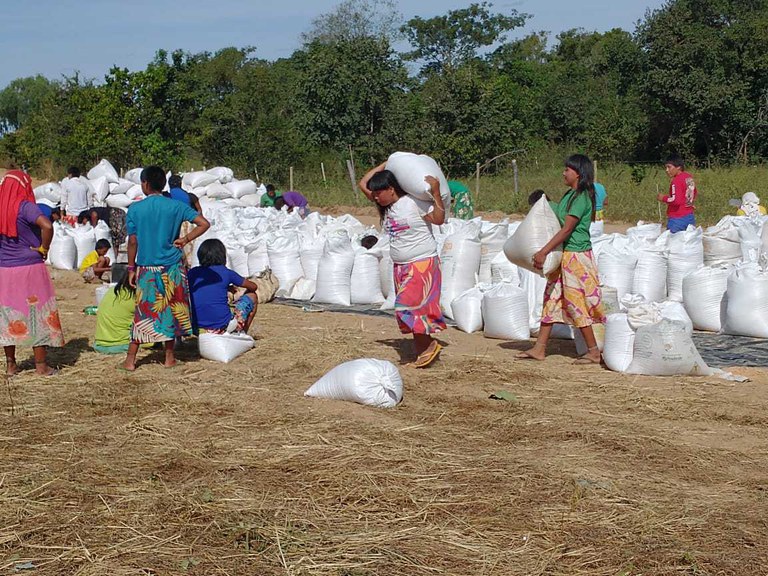 FUNAI: Plantio de lavoura mecanizada de arroz beneficia comunidade indígena Xavante na Terra Indígena Maraiwatsede