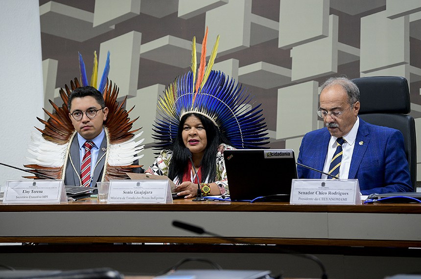 SENADO: Sonia Guajajara nega ofensa aos roraimenses