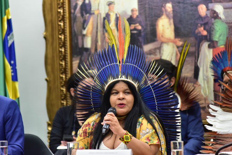 CÂMARA: Pautas indígenas permanecem de pé e demarcações prosseguirão, diz ministra Sonia Guajajara