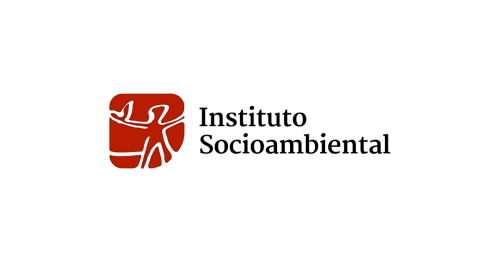 ISA: ISA repudia informações falsas sobre comercialização do Cogumelo Yanomami