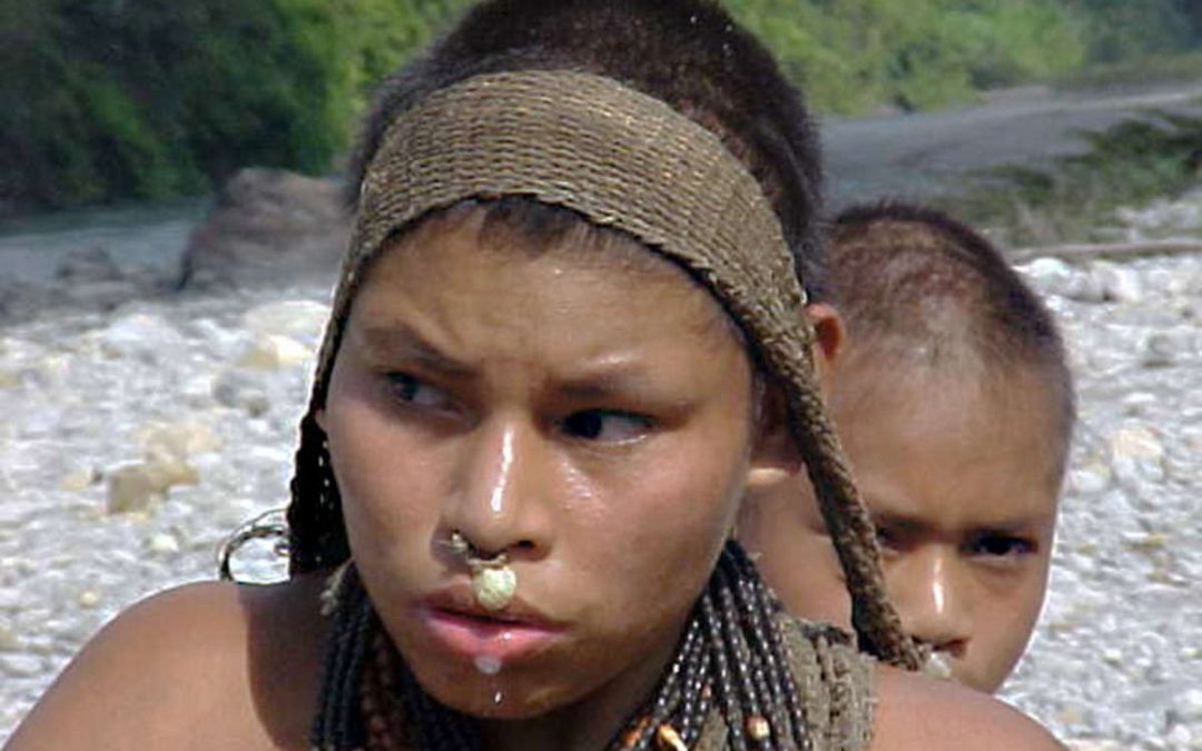 SURVIVAL: Vitória para os indígenas do Peru: projeto de lei genocida é vetado no congresso
