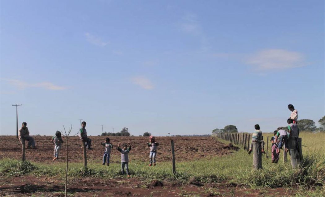 CIMI: Fazendeiro avança sobre Guyraroká, território protegido pela Comissão Interamericana de Direitos Humanos