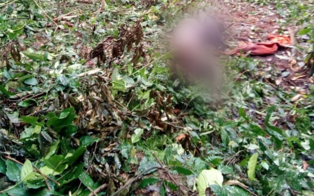 SURVIVAL: Governo francês cancela plano de financiar o Parque Nacional Kahuzi-Biega, no Congo, diante de abusos de direitos humanos