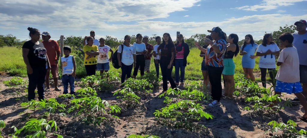 CIR: Comunidades Jauari e Livramento apresentam projetos de agricultura, bovinocultura e artesanato