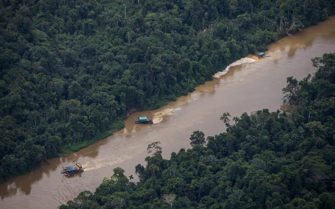 AMAZÔNIA REAL: Corpo de menina Yanomami é encontrado no rio Parima