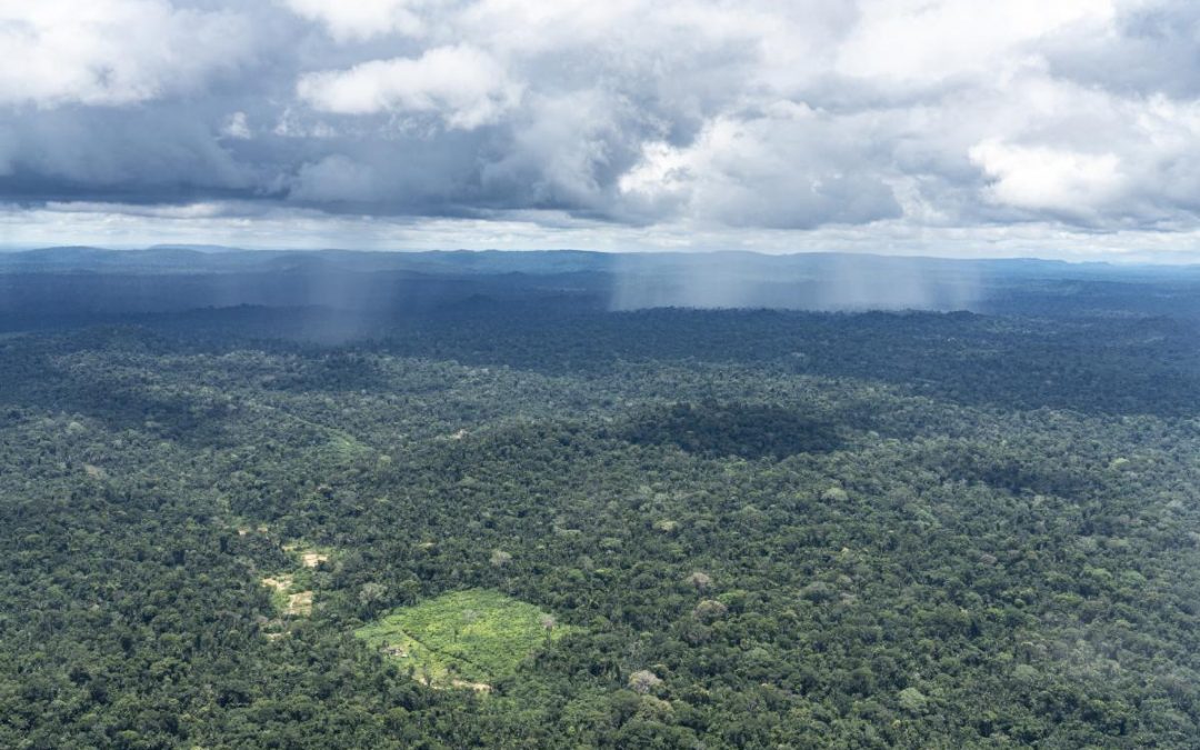 ISA: Desmatamento no Xingu diminui, mas é preciso reforçar fiscalização e recuperar áreas devastadas
