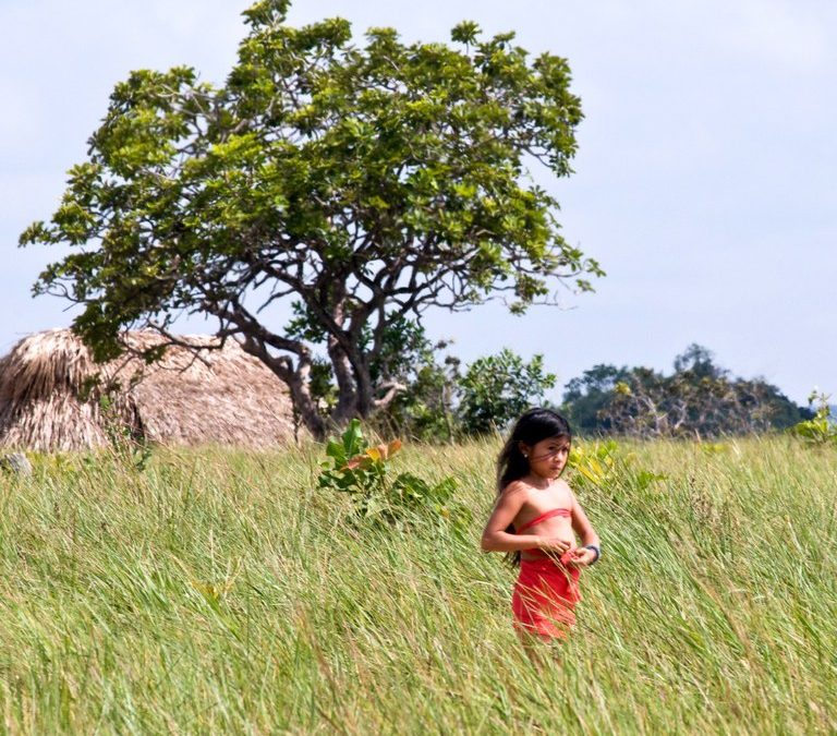 FUNAI: No Dia Internacional dos Povos Indígenas, Funai destaca o papel dos Povos Indígenas na proteção da Amazônia