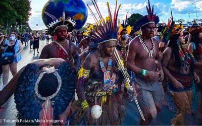 SURVIVAL: Vitória histórica para os povos indígenas: marco temporal é rejeitado pelo STF
