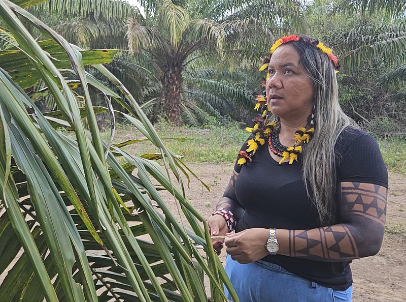 BRASIL DE FATO: Indígenas ameaçados pelo marco temporal comemoram vitória no STF: ‘agora dá para respirar’