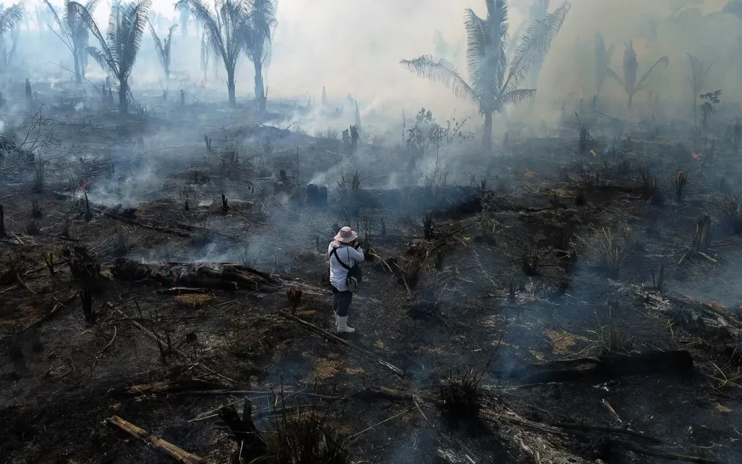 AMAZÔNIA REAL: Jornalismo é alvo da violência na Amazônia, diz Repórteres Sem Fronteiras