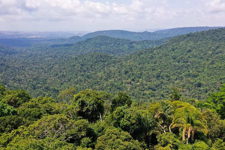 PLANALTO: Países com grandes reservas florestais exaltam trabalho do Brasil na conservação ambiental