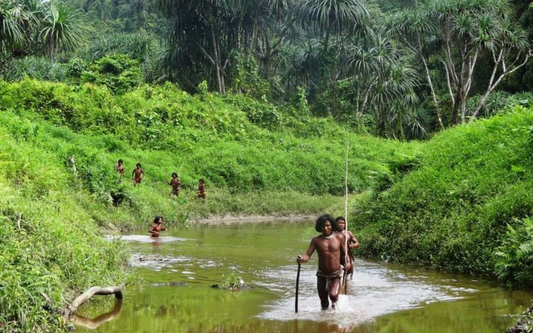 SURVIVAL: Autoridades indianas se preparam para aprovar projeto que irá dizimar indígenas isolados