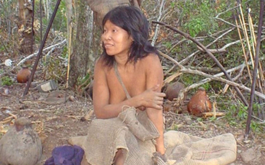 SURVIVAL: Empresa anuncia boicote a fornecedores de couro que desmatam a terra dos indígenas isolados Ayoreo no Paraguai
