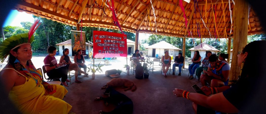 CIMI: Após 1º Encontro de Mulheres Indígenas de Minas Gerais, participantes propõem criação de Coletivo