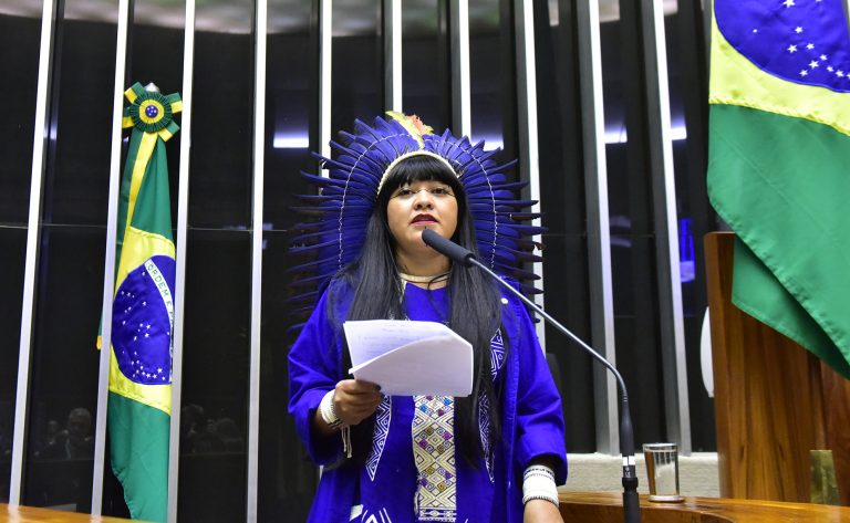 CÂMARA: Câmara aprova projeto que inclui mulher indígena nas políticas públicas de combate à violência