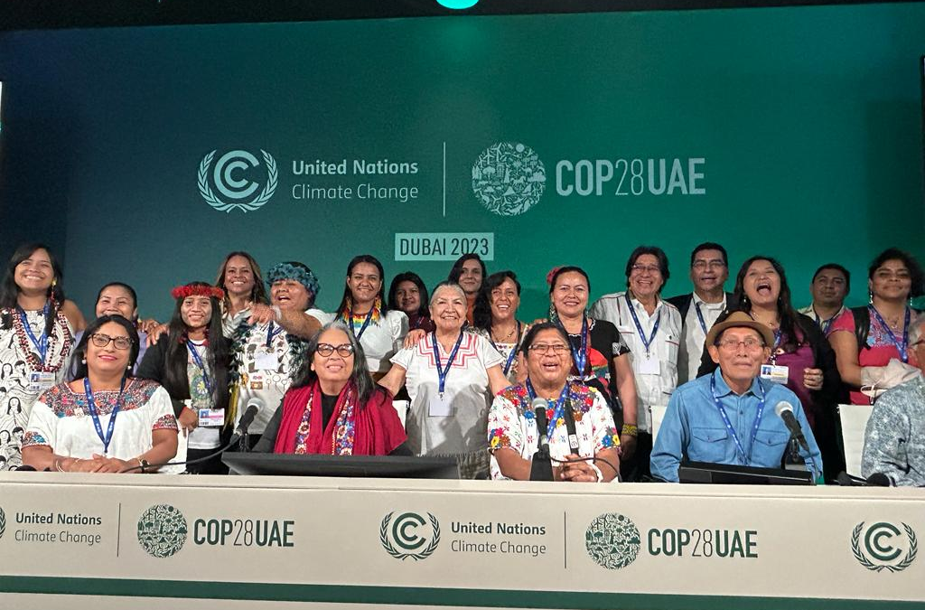 OPAN: Brasil retomará co-presidência do caucus indígena da Convenção do Clima em 2025