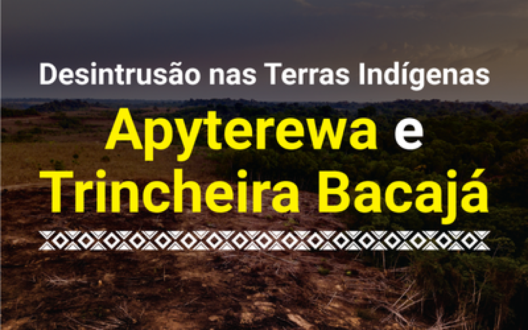 MPF: Governo Federal inicia nova desintrusão de Terras Indígenas no Pará