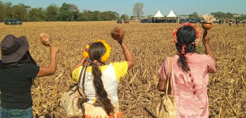 BRASIL DE FATO: Ameaças mantêm retomada indígena sob tensão no MS: ‘estamos nos organizando para o grande conflito’, diz fazendeiro