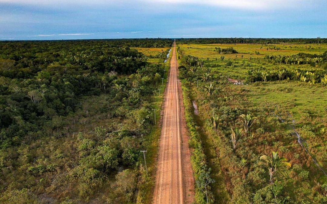 AMAZÔNIA REAL: Justiça Federal suspende licença para obra do ‘trecho do meio’ da BR-319