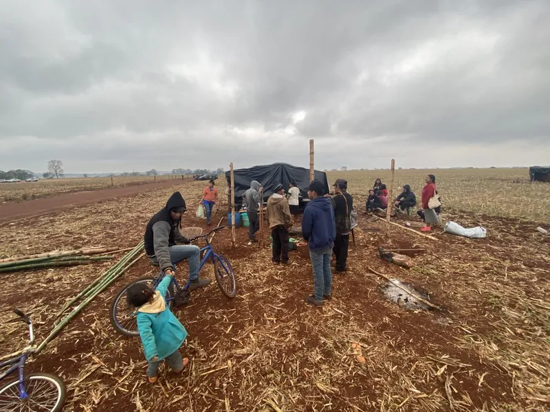 BRASIL DE FATO: Indígenas têm cinco dias para deixar área de retomada no Mato Grosso do Sul: ‘Vão resistir’, afirma advogado