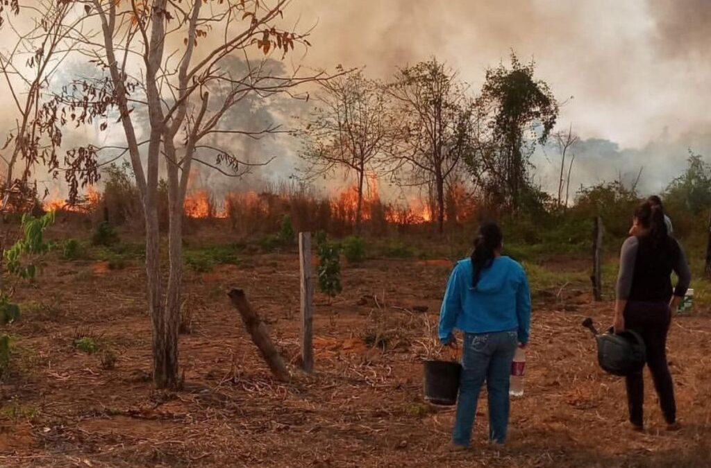 OPAN: Emergência climática: territórios indígenas de MT sofrem com incêndios