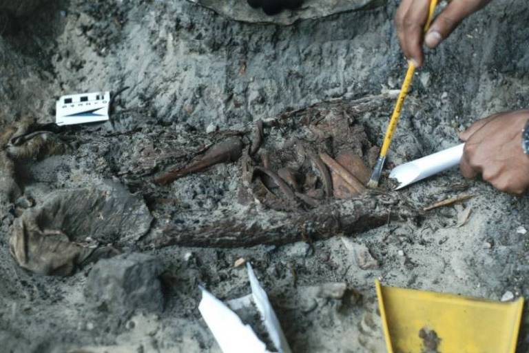 FOLHA DE SÃO PAULO: Pesquisa investiga história de criança indígena sepultada em casca de árvore