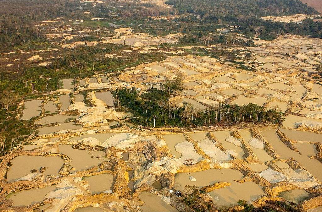 GREENPEACE: Sob pressão: avanço do garimpo desafia o Estado e destroi a Terra Indígena Sararé