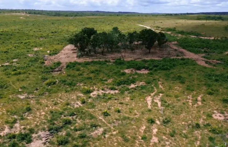 BRASIL DE FATO: Cerrado tem territórios quilombola e indígena mais desmatados do Brasil em 2023