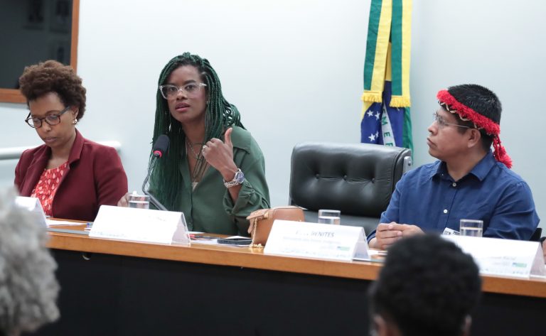 CÂMARA: Debatedores defendem ampliação de cotas em concursos públicos para indígenas e quilombolas