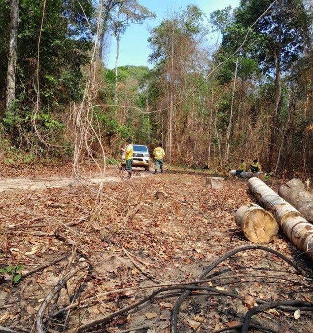 FUNAI: Funai apoia ações de combate a incêndios na Terra Indígena Sete de Setembro