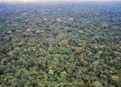 MPF: MPF recomenda à Prefeitura de Tapauá (AM) que impeça abertura de vias em áreas próximas de terras indígenas