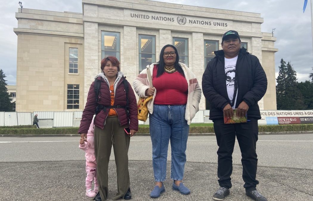 CIMI: Indígenas pedem na ONU cobranças ao Estado brasileiro sobre recomendações contra o marco temporal