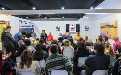 FUNAI: COP29: Funai participa do lançamento da Troika Indígena e defende aliança para fortalecer vozes indígenas