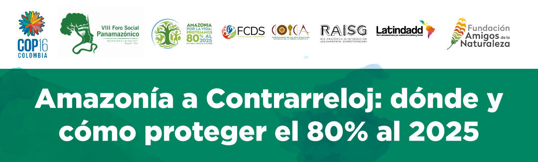 COICA: Líderes indígenas y organizaciones de la sociedad civil instan a los gobiernos a declarar una emergencia mundial para mitigar los 54,000 incendios en la Amazonía y proteger 80% al 2025