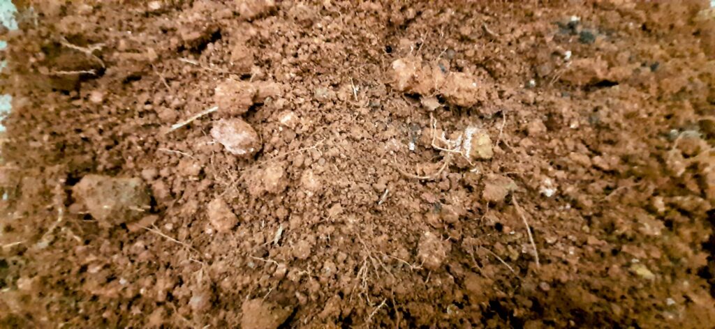 RADIO YANDÊ: Da Promessa à Resistência: O Caminho da Auto-Demarcação na Luta Indígena