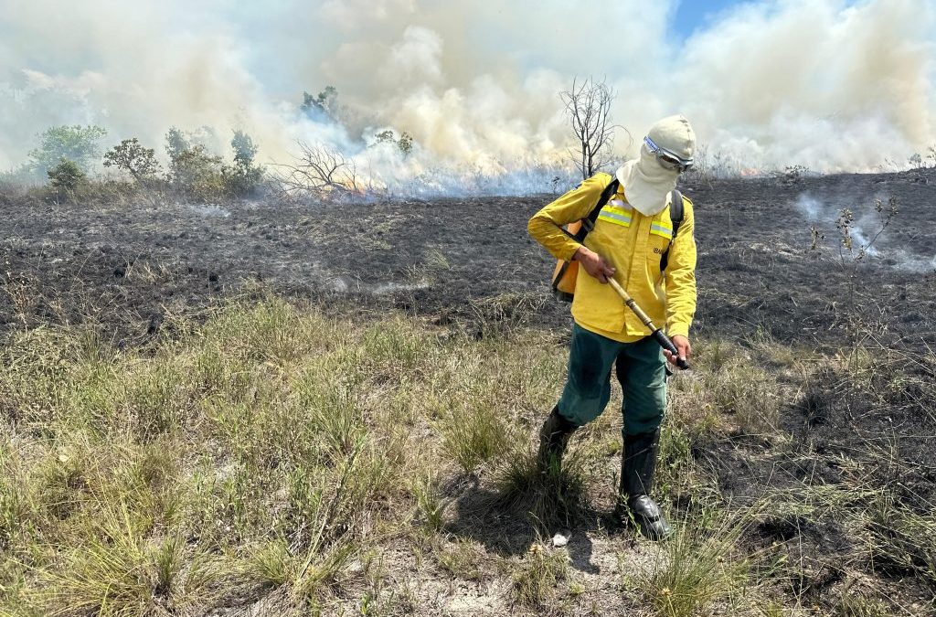 CIR: Brigadistas indígenas finalizam atividade de queima prescrita em regiões de Roraima