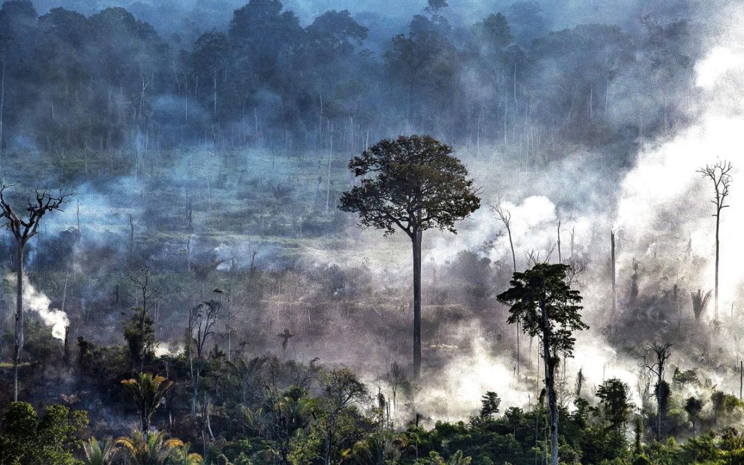 ISA: Na Amazônia, rodovias impulsionam queima de área duas vezes maior que o estado de RJ