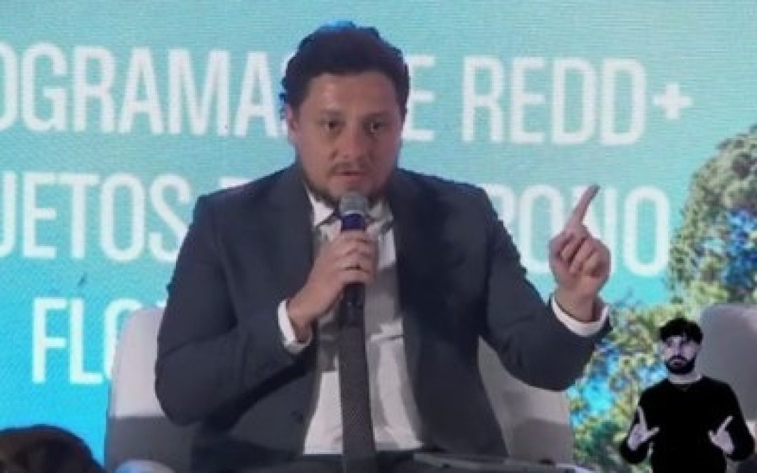 MPF: MPF volta a defender direitos de comunidades tradicionais em evento sobre mercado de carbono