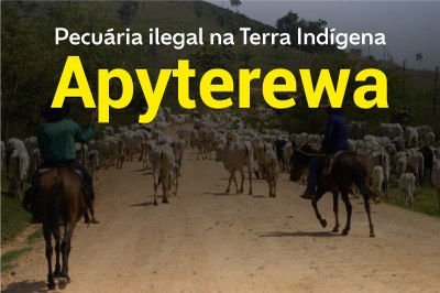 MPF: Por recomendação do MPF, Adepará cancela registros de fazendas ilegais na Terra Indígena Apyterewa (PA)