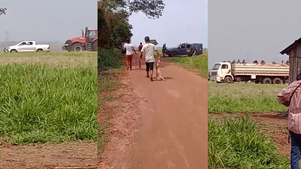 CIMI: Oeste do Paraná: bando usa caminhão e tratores para atacar retomada Avá-Guarani a tiros, agrotóxicos e pauladas