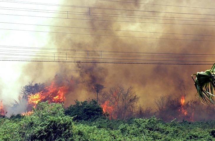 BRASIL DE FATO: Comunidades indígenas sofrem com incêndios e seca no Pantanal: ‘Tudo que você planta, morre’