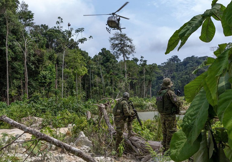 MPI: Desmatamento cai 30,6% na Amazônia e 25,7% no Cerrado em 2024