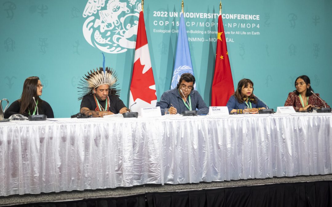 COICA: 3 puntos para entender la importancia de la COP-16 de Biodiversidad en Cali