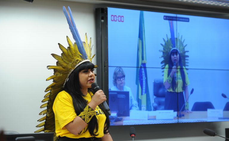 CÂMARA: Para debatedores, sistemas agrícolas indígenas podem ajudar a combater crise climática