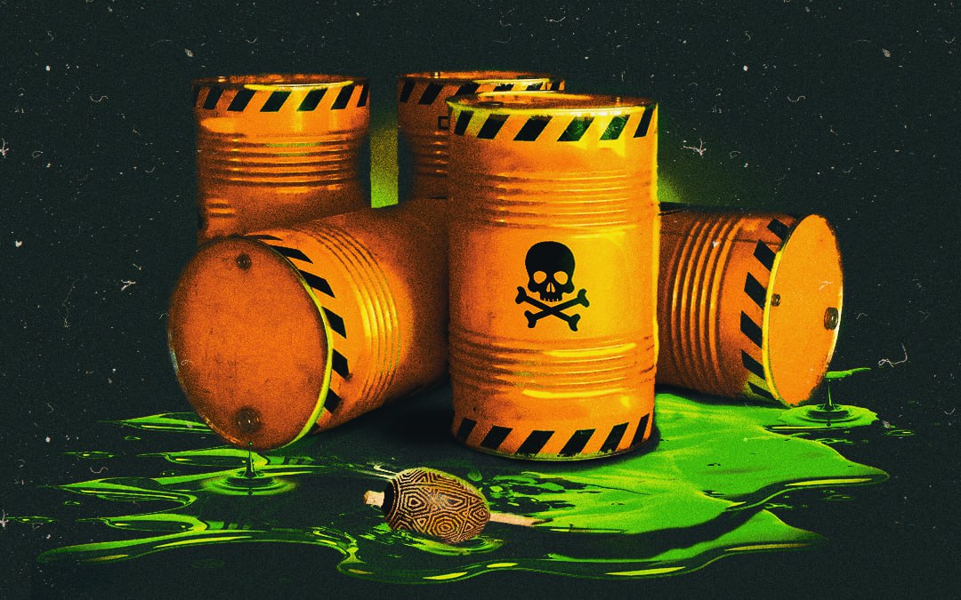 APIB: Apib pede ao STF ingresso como Amicus Curie na ADI sobre Pacote de Veneno