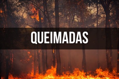 MPF: MPF cobra medidas para reforço urgente no combate a megaincêndios na Terra Indígena Alto Rio Guamá, no Pará