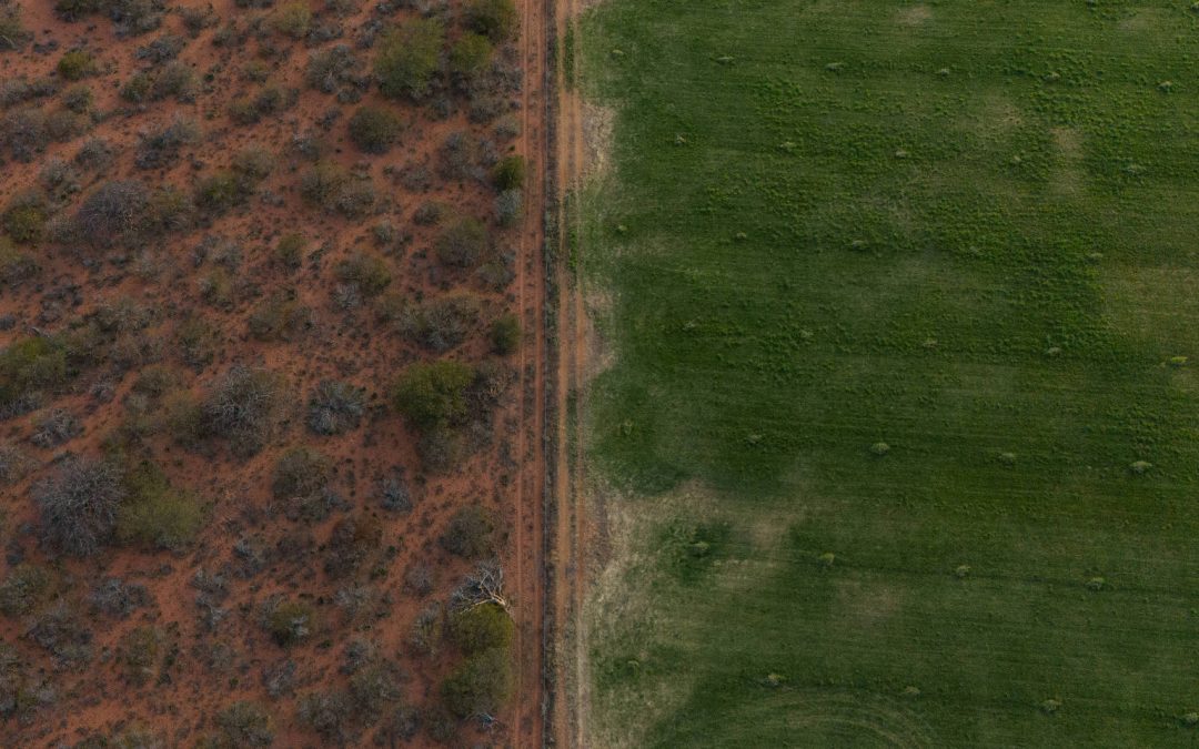 FOLHA DE S. PAULO: Indígenas lutam por terra em risco de desertificação no semiárido