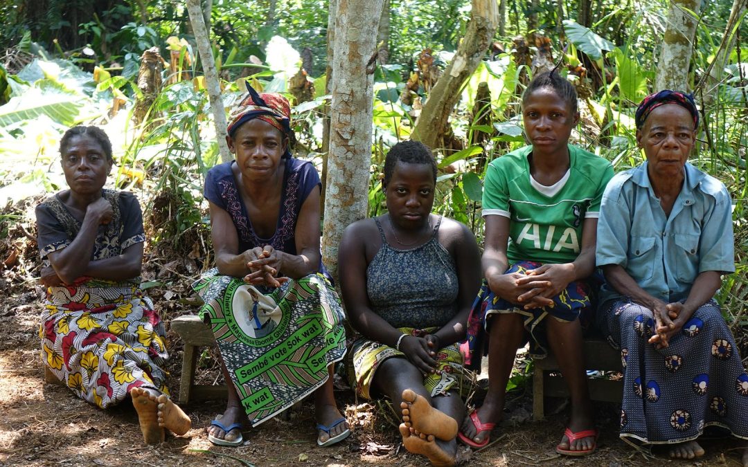 SURVIVAL: ONU divulga diretrizes para combater violações de direitos humanos em projetos de conservação ambiental