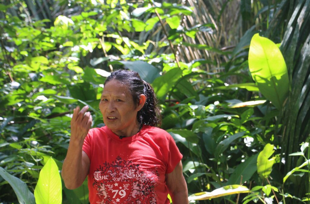 OPAN: “É uma gente que derruba tudo para pegar madeira, colocar boi e porteira”, diz sobrevivente Piripkura