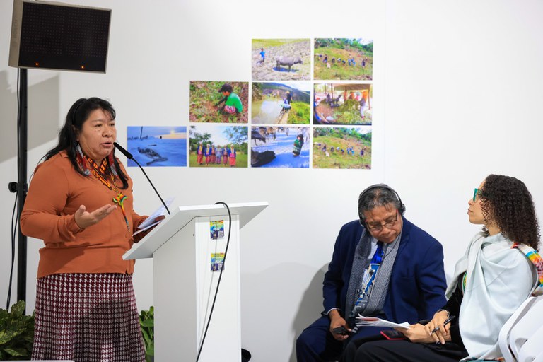 FUNAI: Funai defende acesso dos povos indígenas a fundos de financiamento climático na COP29